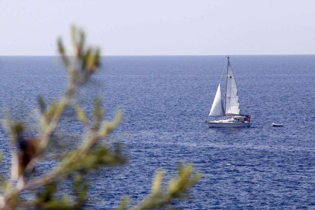 Apartment Stinjan, Istria 1 Dış mekan fotoğraf